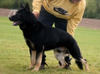 SG Quardes von der Staatsmacht IPO3, FH2, BSP, LGA (Sieger 2011, 2° platz 2012)
